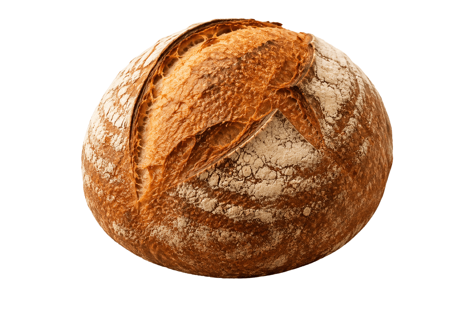 Fresh sourdough boule